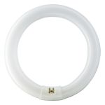 Osram T9 Lumilux Circline 32W - 840 Bianco Freddo | 30cm